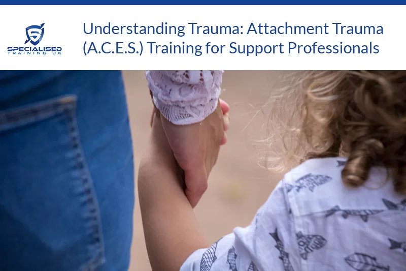 Understanding Trauma: Attachment Trauma (A.C.E.S.) Training for Support Professionals